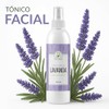 Tónico Facial De Lavanda Hidratante Facial 500 Ml Productos Mart