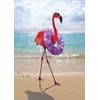 Avanti, Flamingo