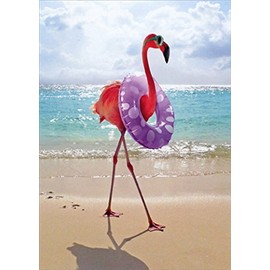 Avanti, Flamingo