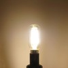 T25/T8 Small Tubular Bulb, 2W Dimmable, 25W Incandescent Equivalent, LED