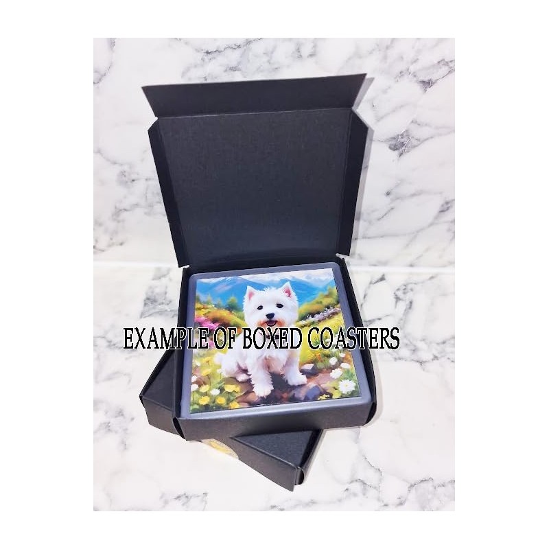 Hedgehog Coaster Set. 4 different Hedgehog Pictures on 10cm x