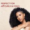 Creme of Nature Mango & Shea Butter Ultra Moisturizing Shampoo,
