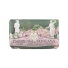 Nesti Dante Emogioni Intoscana Soap, Giardino in Fiore, 8.8 oz