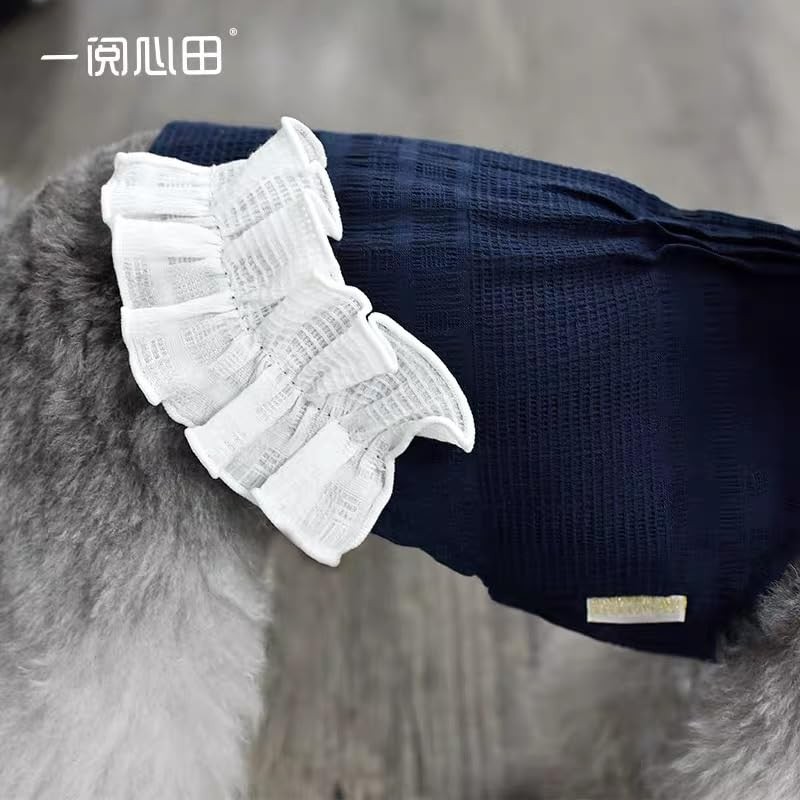 RIOSTUDIO Dog Clothes, Spring & Summer, First Landing in Japan,