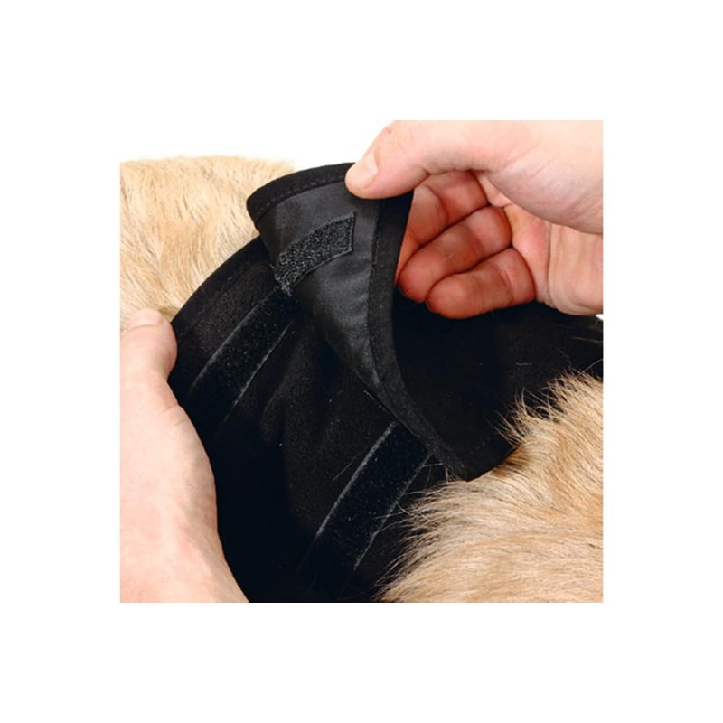 Karlie 49012 Dog Nappies 40 x 10 cm Black