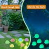 Tehttz 50Pcs Mini Luminous Resin Animals for Garden, Micro Landscape