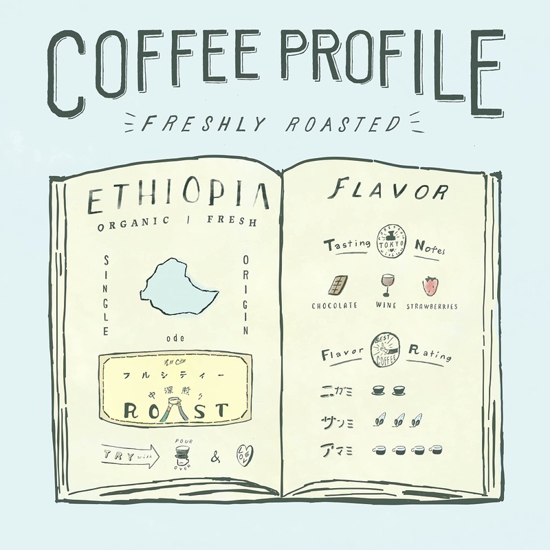 ode Organic Coffee, Single Origin Ethiopia, 14.1 oz (400 g),