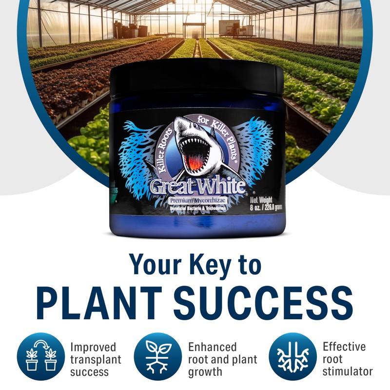 Great White Mycorrhizal Fungi 4 oz, Beneficial Bacteria for Plant