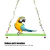 Chicken Parrot Large Bird Pet Swing Green Hanging Wooden Toy