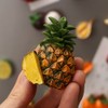 5 PCS Fruit Refrigerator Magnets, Durian Pitaya Banana Avocado Pineapple