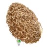 Ecojeo Zacate Natural Ixtle Redondo Directo