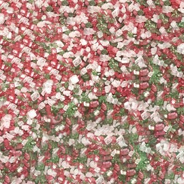 Rimming Sugar - Holiday Mix (4oz 1x Tin) | Christmas Drink Rimmer for Beverages, Cocktails, Margaritas by Brew Glitter