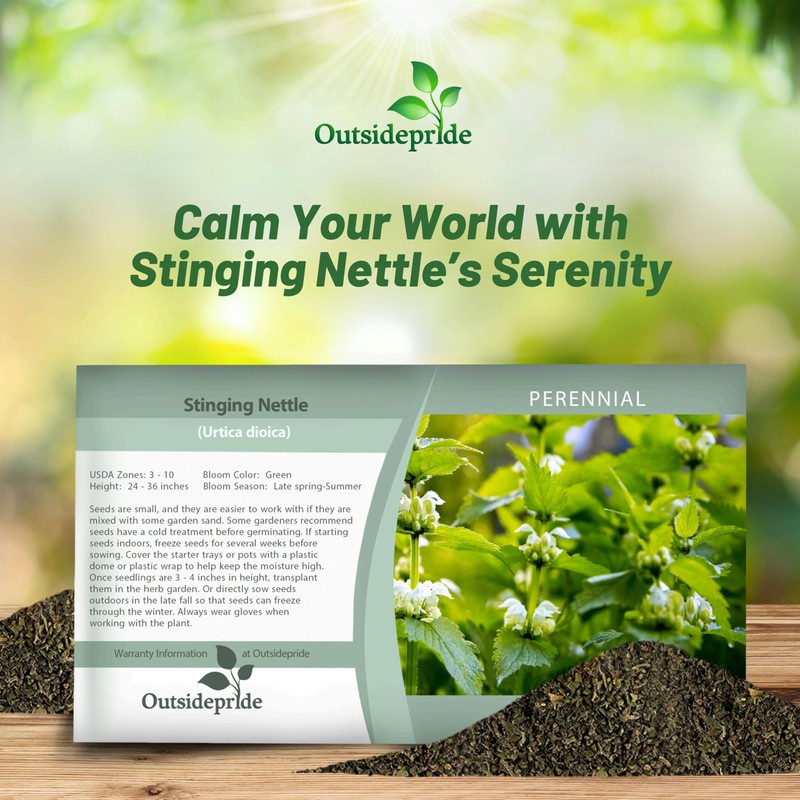 Outsidepride Stinging Nettle Seeds - 10000 Pcs Perennial and Low
