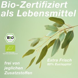 NeoOrganic® Organic Eucalyptus Oil (Eucalyptus Globulus) High Percentage +80% of Eucalyptol - 100% Natural Organic Essential Oil - 30 ml