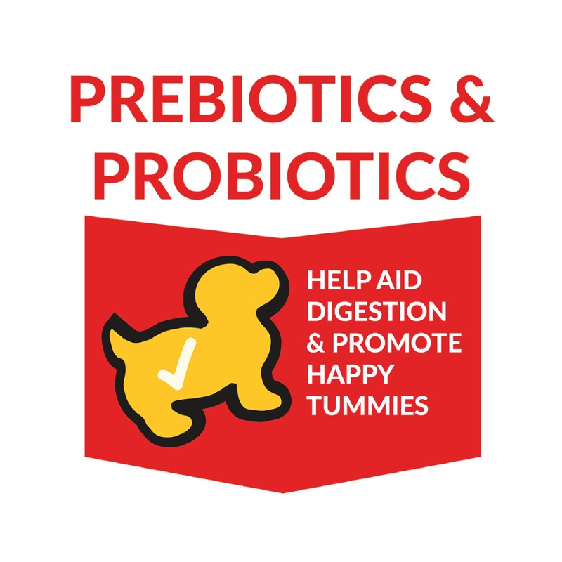 Pup Corn Plus - Puffed Dog Treats with Preiotics and