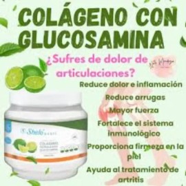 2 Colagenos Polvo Gluclosamina Limon Shelo Nabel 450 Gr                                                                                               