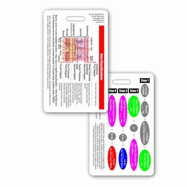 Burn Classifications and Parkland Formula Vertical Badge Card (1 Card)