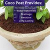 Super Moss (23277) Coco Peat Soil, Mini Bale (0.6 ft3)