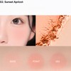 REST & RECREATION Beauty Multi Pairing Powder Cheek 4.6g, shade:04