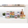 Décor 003051-004 Food Storage Container, 250 mL, Oblong, Pack of