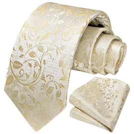 HISDERN Champagne Ties for Men Solid Floral Silk Paisley Mens Beige Tie Handkerchief Classic Ivory Necktie Pocket Square Set Formal Wedding Ties
