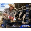 Hemomic Forte 1l Nutrición Equinos Animal Vitamina Mineral