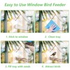 Clear Window Bird Feeder with Suction Cups – Transparent Acrylic