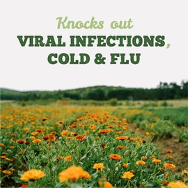 St. Francis Herb Farm Virafect - Herbal Tincture for Cold and Flu - Immunity Booster Herbal Supplement - Holy Basil - Echinacea - 100mL