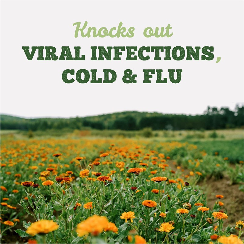 St. Francis Herb Farm Virafect - Herbal Tincture for Cold