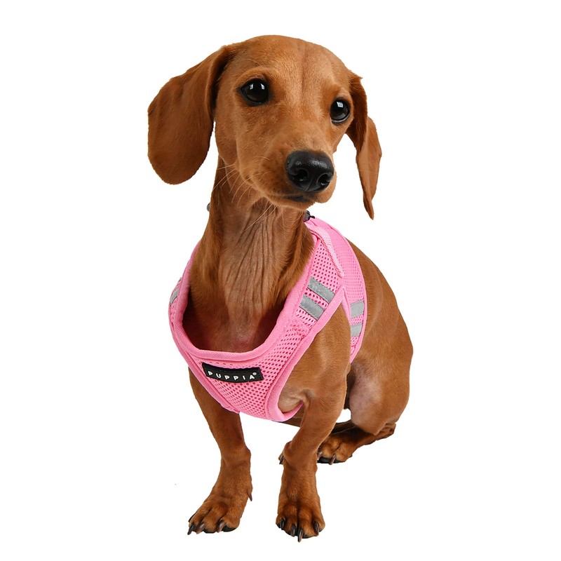 Puppia Harness Pro Dog Harness Harness, Pink, S