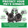 Kidney Support for Dogs - Kidney Support Supplement, Supports Immune,
