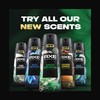 AXE Premium Deodorant Body Spray for Men Emerald Sage 3
