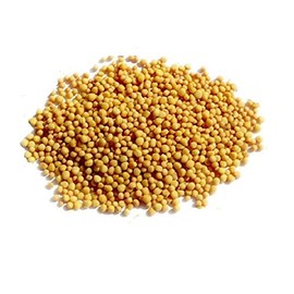 Mustard Seeds (whole) Yellow/Mostaza Amarillo Entero, 12oz