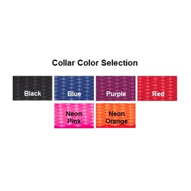 LuckyPet Traditional Nylon Dog & Cat Collar with Metal Buckle - Size: 3/8" x 12", Color: Blue
