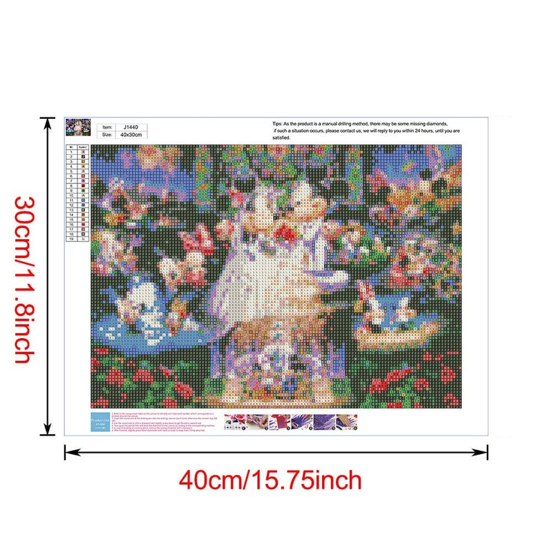 Diamond Painting Kit, Diamond Art, Fairy Tale Kit, Diamond Bead