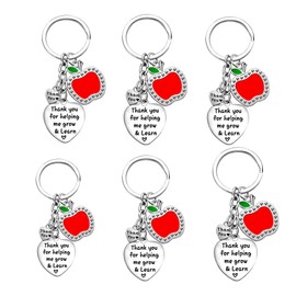 Nimteve 6 PCS Teacher Keychain Teachers Appreciation Gifts from Students Graduation Gifts for Teachers Teachers Keyring Gifts (teacher keychain（thank you for helping me grow & learn）)