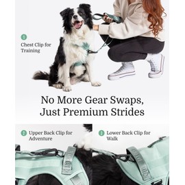 2025 New Edition, Fei & Eve Classic Dog Harness - Quick-Release Buckles | 3-Point No-Pull Control | Heavy-Duty 900D Nylon | Dual Safety Handles | Breathable Mesh | Adjustable Fit | Medium,Green