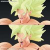 Figure-rise Standard, Dragon Ball Super Saiyan Broly Full Power, Color