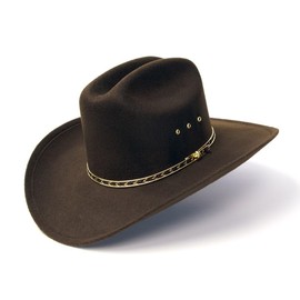 WESTERN EXPRESS Kid's Brown Faux Felt Cowboy Hat Sizes (6 5/8 (21 inches))