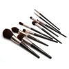 Ten Professional Makeup Brushes Set with Case and Pouch Soft