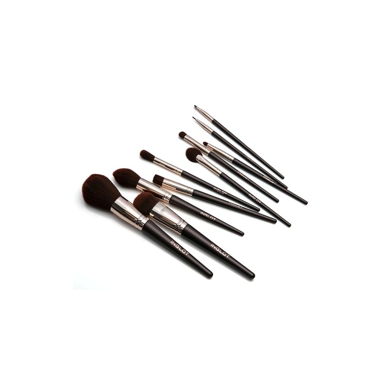 Ten Professional Makeup Brushes Set with Case and Pouch Soft