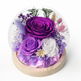 FIACO Gifts for Women Preserved Real Flowers Eternal Rose in Glass Dome with LED Light, Long-Lasting Forever Flowers Roses for Home Decor Birthday Gifts for Mom Grandma Wife Girlfriend