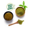 Godrej Godrej Nupur Mehendi Powder Herbs Blend, 120-gram (3 PACK)