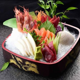 Dark Red with Bonsai Art Sushi Serving Tray - Square Sashimi Platter & Seafood Dish, Japanese Lacquered Plastic Tray for Weddings, Parties, BBQs, & Events with Ice Compartment - Medium (10.25 Inch)