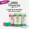 GRISI ORGANICS, Shampoo Sólido con Menta para Cabello Graso, 75gr