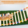 FlidRunest Bearded Dragon Window Ladder with 2 Sturdy Suction Cups,