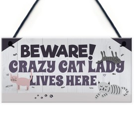 RED OCEAN Funny CRAZY CAT LADY Hanging Plaque Animal Lover Sign Cute Cats Home Decor Door Gift