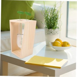 BESPORTBLE Test Tube Vase with Wooden Rack Plant Propagation Tubes for Hydroponics Decor for Room Bedroom and Bathroom