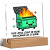 Dumpster Fire Desk Accessories, Funny Dumpster Fire Acrylic Plaque Gifts