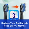 Toothbrush Heads Replacement Compatible with Bitvae D2 Electric Toothbrush, 10